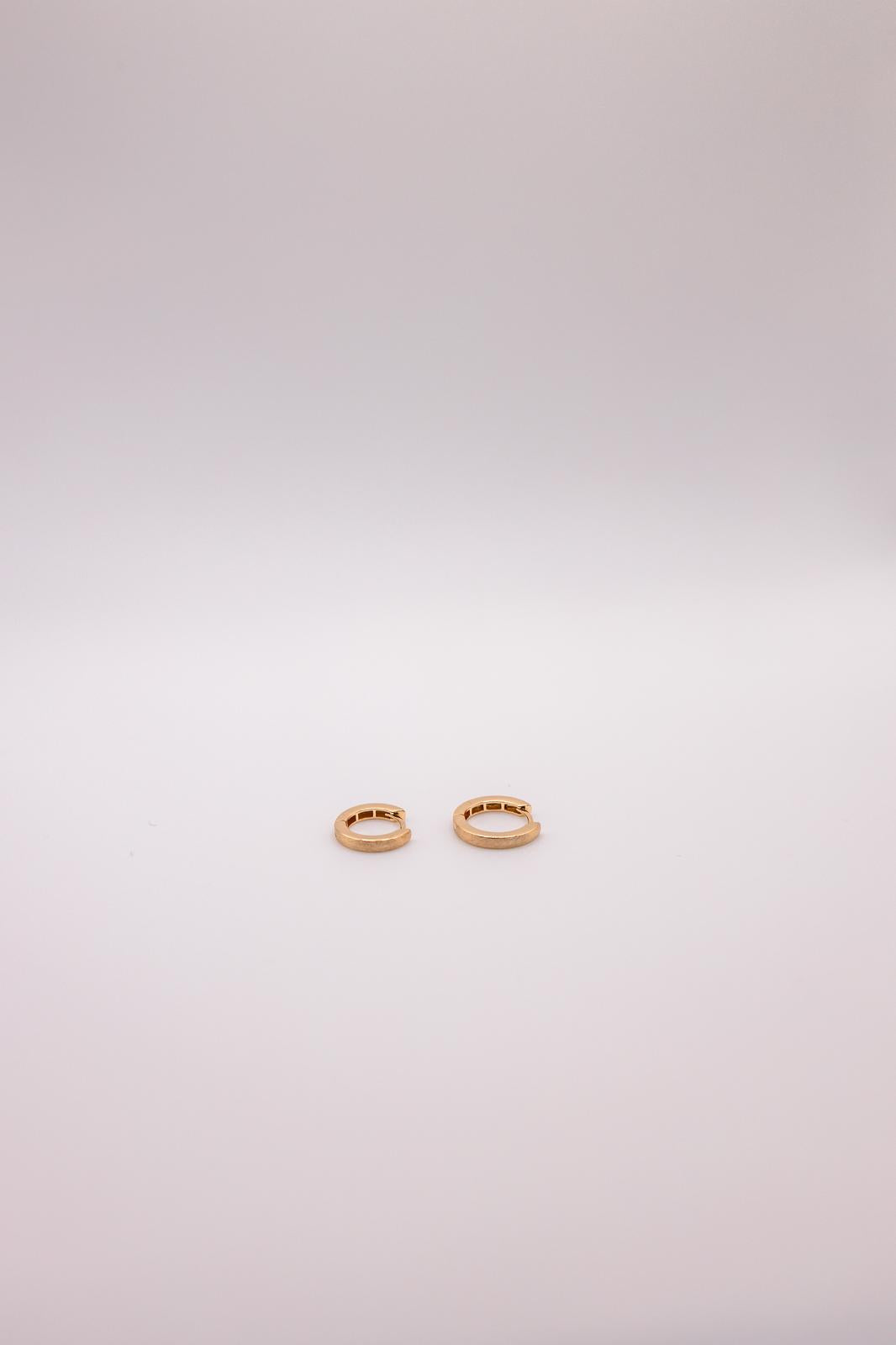 Paved Hoop Earring (M)
