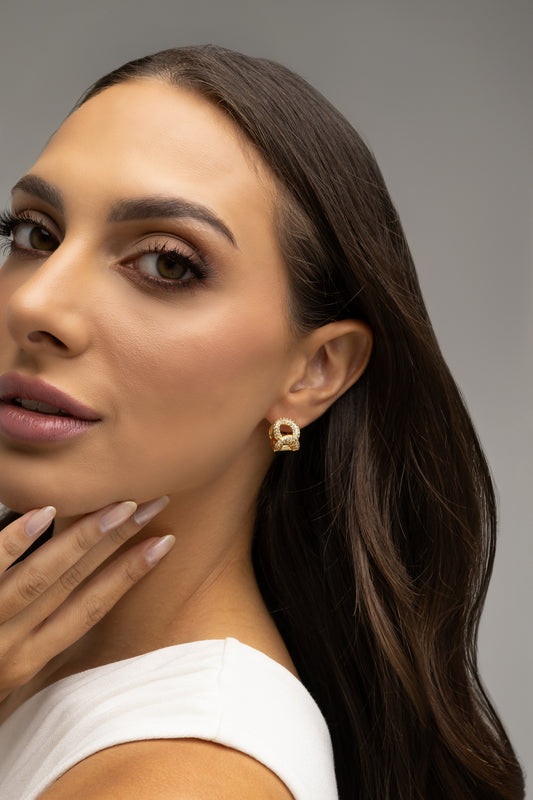 Hollow Zirconia Hoop Earrings